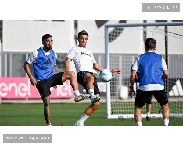 斯帕莱蒂称布雷默鲁加尼将担纲中路核心重任